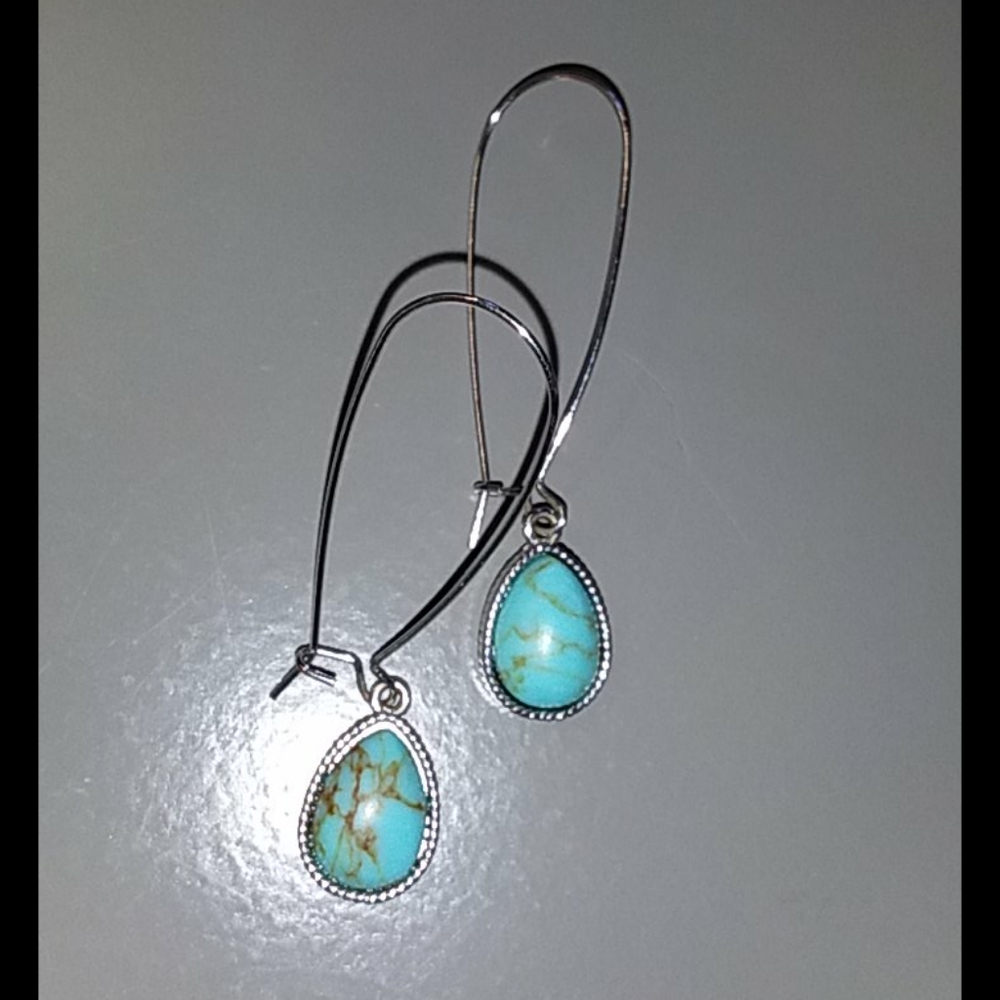 Silver and blue earrings